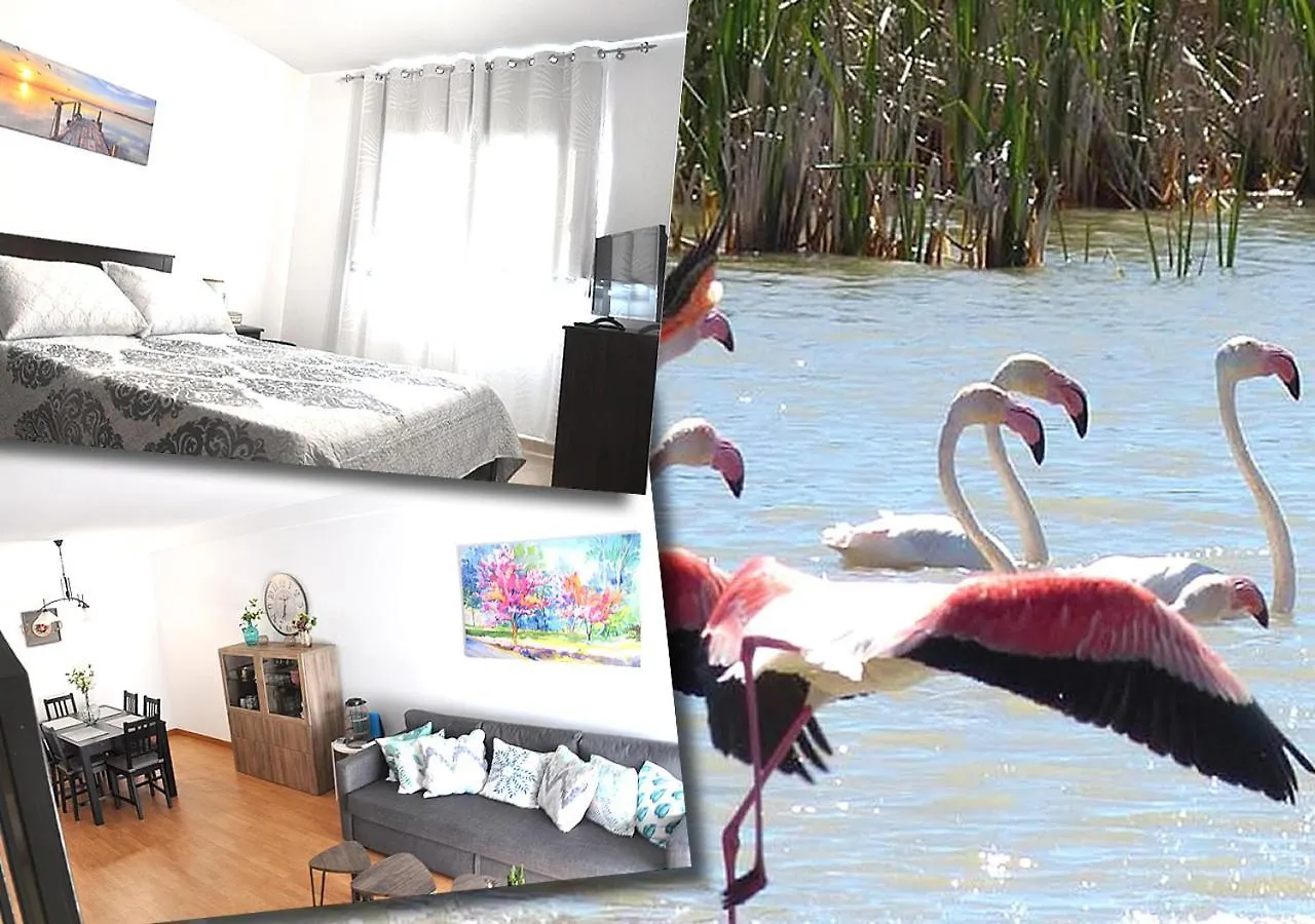 Apartamento Duplex En Delta De L'Ebre Con Dos Terrazas Y Balcon